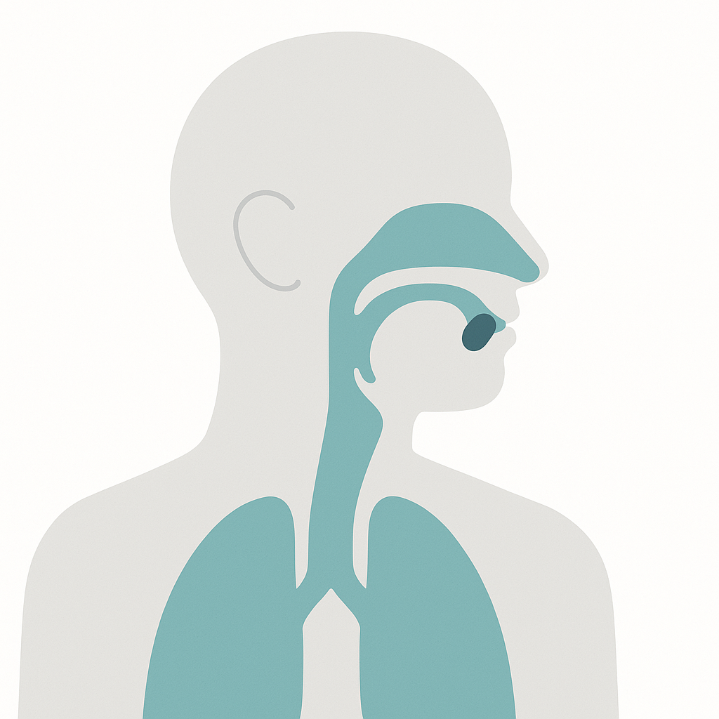 Illustration of Airway Obstruction