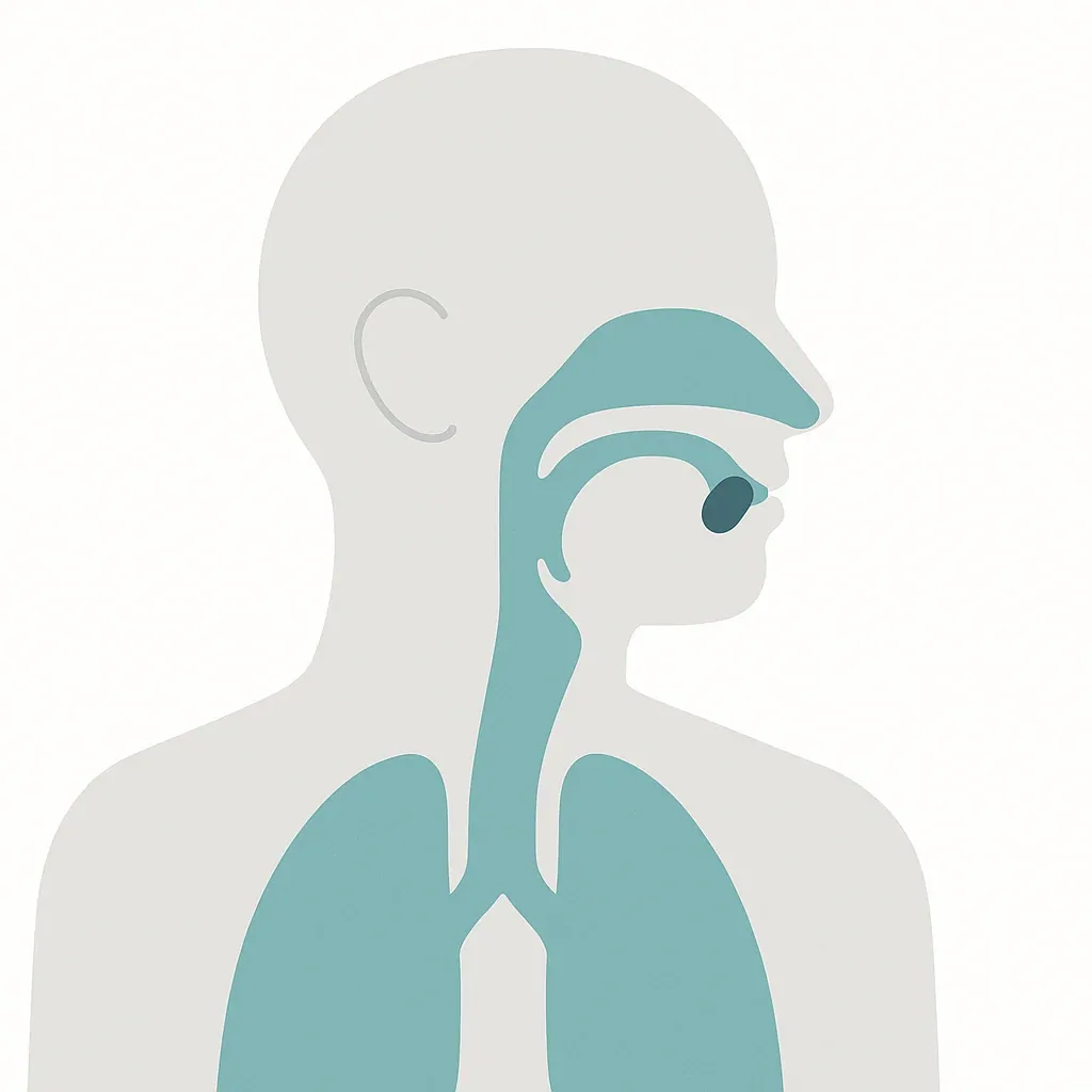 Illustration of Airway Obstruction