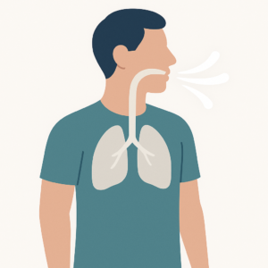 Illustration of Spontaneous Breathing